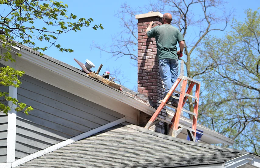 Chimney & Fireplace Inspections Services in Meriden, CT